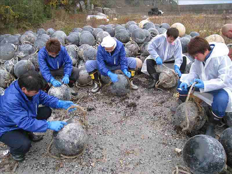 第12便　2014年11月11日出発　15名　陸前高田市