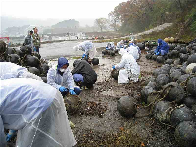 第12便　2014年11月11日出発　15名　陸前高田市