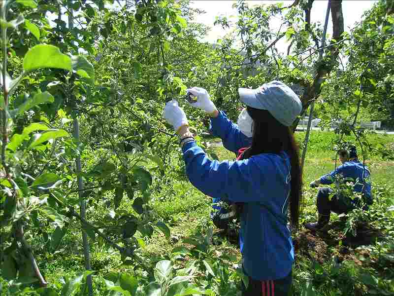 第13便　2015年5月12日出発　22名　陸前高田市