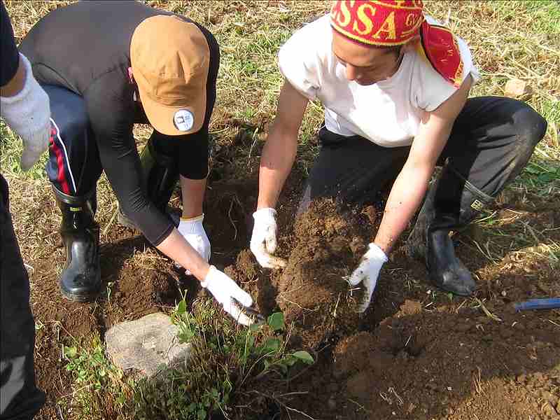 第13便　2015年5月12日出発　22名　陸前高田市