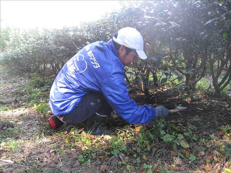 第16便　2016年11月9日出発　12名　菊池市