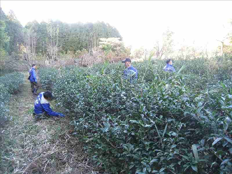 第16便　2016年11月9日出発　12名　菊池市