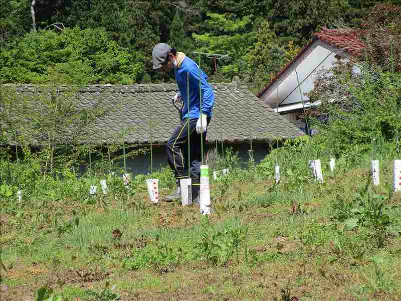 第17便　2017年5月16日出発　26名　陸前高田市