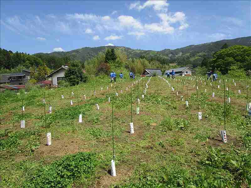 第17便　2017年5月16日出発　26名　陸前高田市