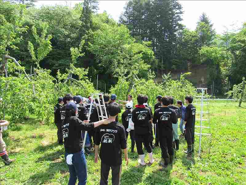 第20便　2018年5月15日出発　28名　陸前高田市