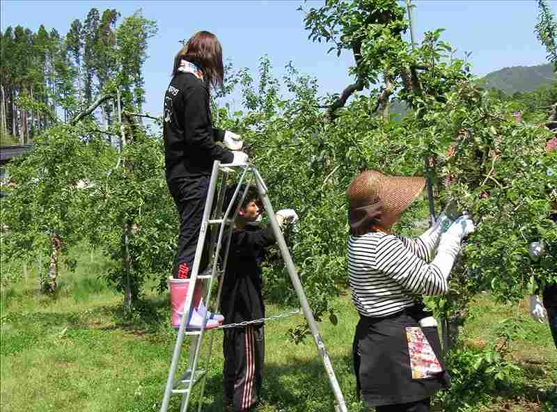 第20便　2018年5月15日出発　28名　陸前高田市