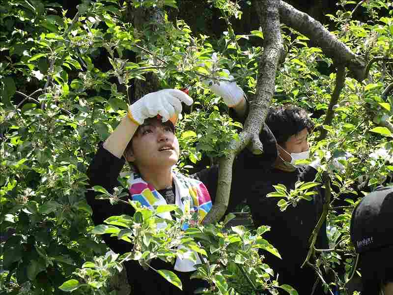 第20便　2018年5月15日出発　28名　陸前高田市