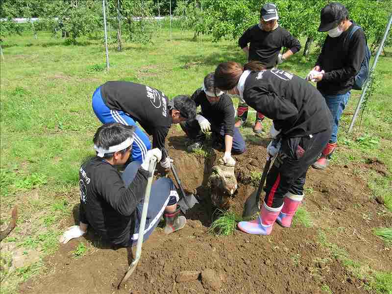 第20便　2018年5月15日出発　28名　陸前高田市