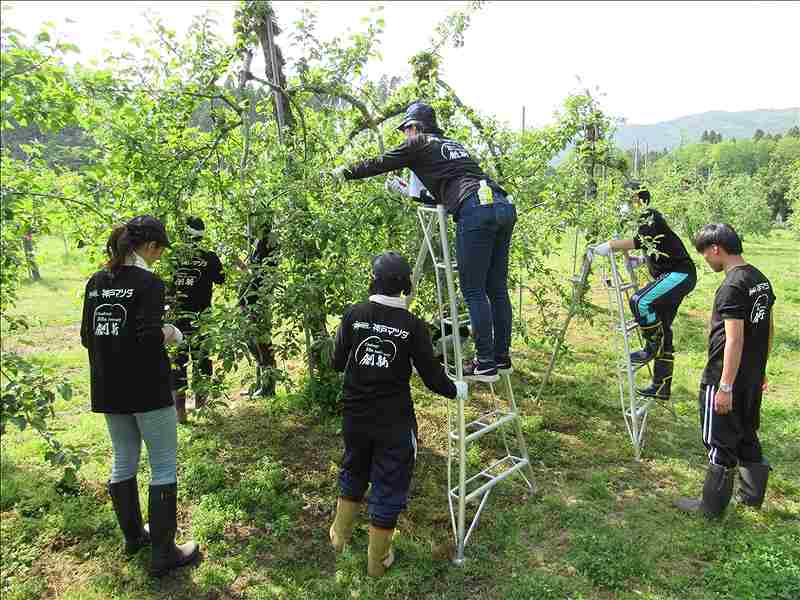 第20便　2018年5月15日出発　28名　陸前高田市