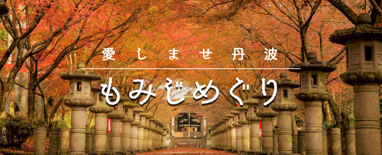 愛しませ丹波もみじめぐり